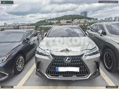 2026, Lexus / nx350h, VIN: JTJGKAEZ1T2084762, hybrid, 2487 куб.см.