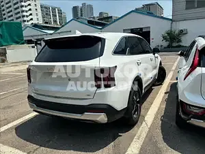 2024, Kia / Sorento, 55 км., gas