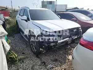 2020, Hyundai / Santa FE, VIN: KMHS381HHMU325003, 12000 км., diesel, 2151 куб.см.
