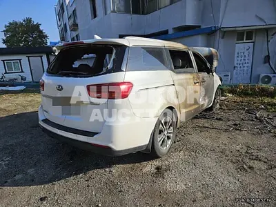 2019, Kia / Carnival, diesel