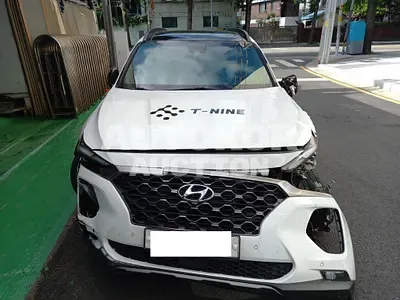 2019, Hyundai / Santa FE, VIN: KMHS381CDKU003486, diesel