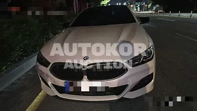 2022, BMW / m850i, 80000 км., gas