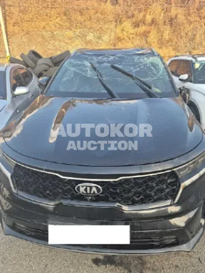 2021, Kia / Sorento, 172669 км., diesel, 2200 куб.см.
