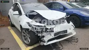 2022, Tesla / Model Y, VIN: 7SAYGDEE5NF568217, electric