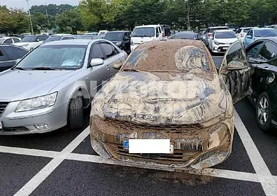 2021, Kia / K5, VIN: KNAG341ABMA106216, gas