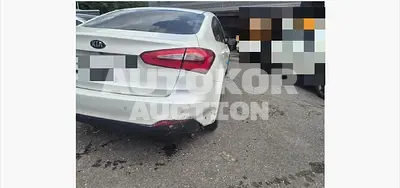 2015, BMW / Z1, 40833 км., gas, 1600 куб.см.