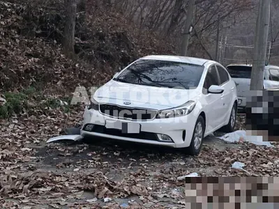 2017, Kia / K3, 40028 км., gas, 1600 куб.см.