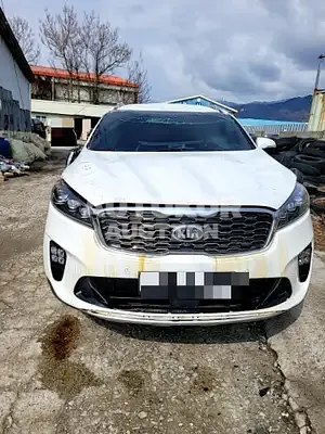 2020, Kia / Sorento, VIN: KNAPH811BLA645981, 57481 км., gas