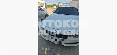 2015, BMW / 320, 269341 км., diesel, 2000 куб.см.