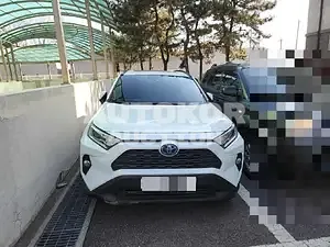 2020, Toyota / RAV4, VIN: JTMW2RFV9LD058438, 56106 км., hybrid, 2480 куб.см.