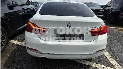 2018, BMW / 420, 188322 км., gas, 1998 куб.см.