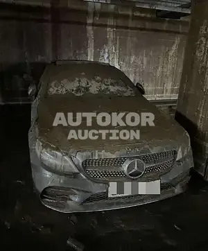 2019, Mercedes-Benz / C 220, 60000 км., diesel, 1950 куб.см.