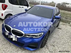 2019, BMW / 320, VIN: WBA5V5102KAJ55792, 123380 км., diesel