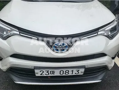 2016, Toyota / RAV4, VIN: JTMDJREVXGD033999, gas, 2494 куб.см.