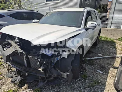 2024, Hyundai / Palisade, VIN: KMHR281ABRU764446, 100000 км., diesel, 2199 куб.см.