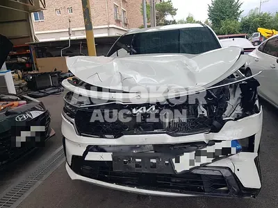 2023, Kia / Sorento, 91424 км., hybrid, 1600 куб.см.