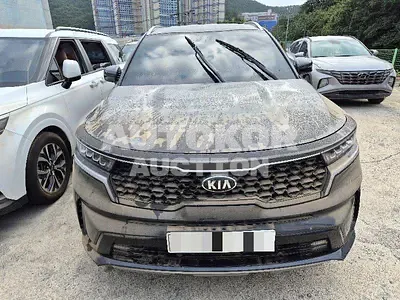 2020, Kia / Sorento, hybrid
