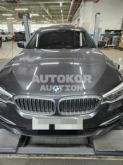 2019, BMW / 520, VIN: WBAJF5109LCD21999, 57243 км., diesel
