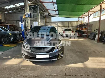 2016, Kia / Carnival, VIN: KNAME811BGS191877, 45502 км., gas, 3342 куб.см.