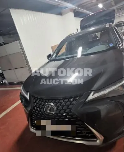 2022, Lexus / UX 250, 45667 км., gas