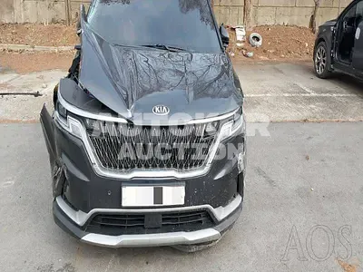 2020, Kia / Carnival, VIN: KNANB81BBMS028331, 34393 км., diesel, 2200 куб.см.