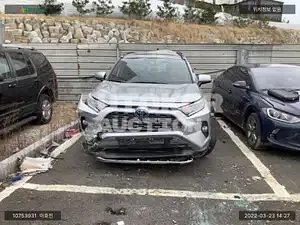 2019, Toyota / RAV4, VIN: JTMDWRFV9LD044986, hybrid