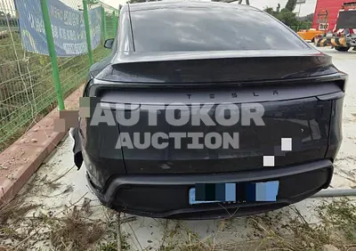 2025, Tesla / Model Y, electric