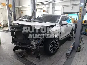 2019, Hyundai / Santa FE, VIN: KMHS381BBKU157166, diesel, 1995 куб.см.