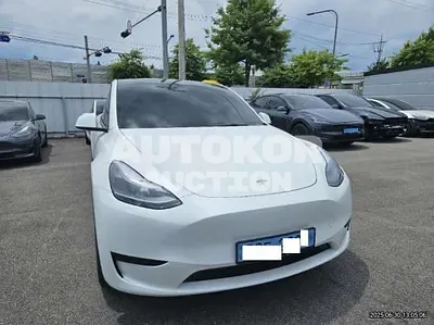2024, Tesla / Model Y, VIN: LRWYGCF53RC207869, 9236 км., electric