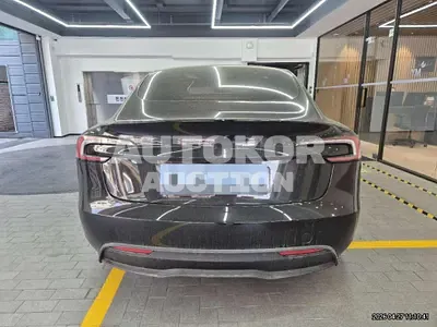 2025, Tesla / Model 3, 8928 км., electric