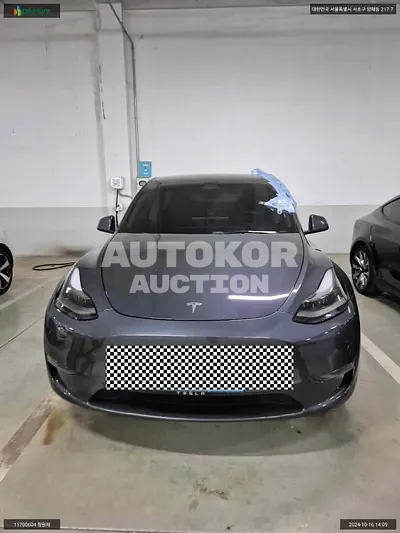 2021, Tesla / Model Y, VIN: 5YJYGDEEXMF169282, 82519 км., electric