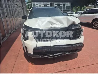 2024, Kia / Sorento, VIN: KNARH81GDRA229550, 17634 км., hybrid