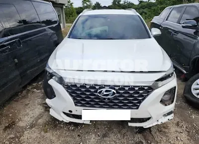 2019, Hyundai / Santa FE, VIN: KMHS581CBKU144080, diesel