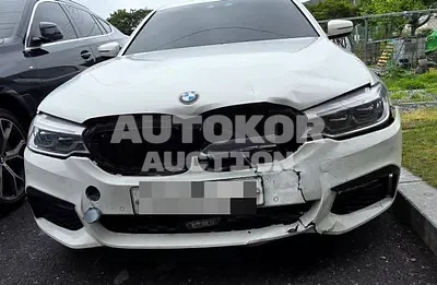2017, BMW / 520, 128971 км., diesel, 1995 куб.см.