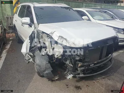 2020, Hyundai / Palisade, VIN: KMHR281ABMU247599, 53922 км., diesel