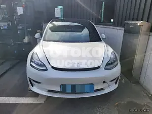 2020, Tesla / Model 3, VIN: 5YJ3E1EA5LF756516, 12000 км., electric