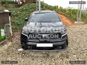 2020, Kia / Sorento, VIN: KNARK81BGMA012939, diesel