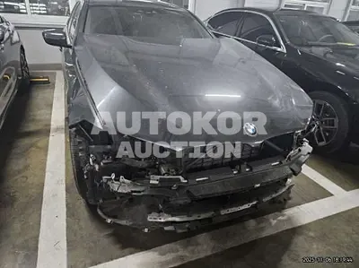 2020, BMW / 530i, 93211 км., gas