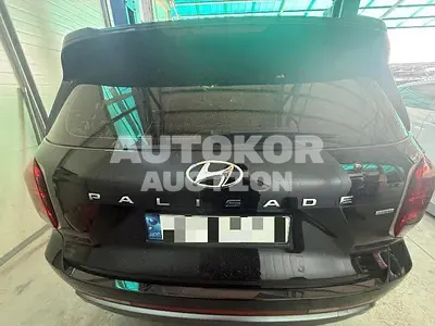 2024, Hyundai / Palisade, diesel, 2200 куб.см.