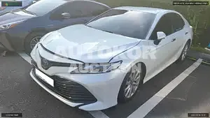 2019, Toyota / Camry, VIN: JTNB21HK9K3034076, hybrid