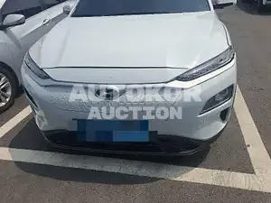 2019, Hyundai / Kona, VIN: KMHK381GFKU040289, 63095 км., electric