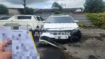 2018, Kia / Carnival, 113560 км., diesel, 2199 куб.см.