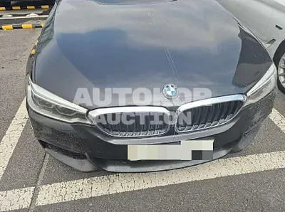 2019, BMW / 530, 99999 км., gas, 1998 куб.см.