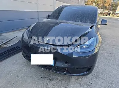 2025, Tesla / Model Y, electric