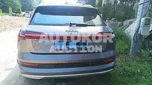 2022, Audi / e-tron, VIN: WAUZZZGE9NB022882, 44488 км., electric