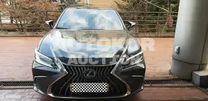 2021, Lexus / ES 300, VIN: JTHBA1C11N2007243, hybrid