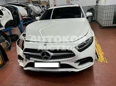2019, Mercedes-Benz / CLS 300, VIN: WDD2J1JB8KA047405, 40890 км., diesel