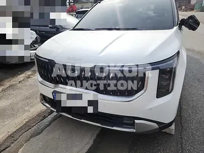 2024, Kia / Carnival, VIN: KNANE81ABRS006507, 700 км., hybrid, 1598 куб.см.