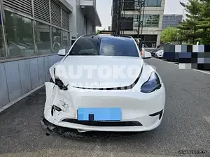 2024, Tesla / Model Y, 3000 км., electric
