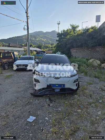 2018, Hyundai / Kona, VIN: KMHK381GFKU000450, 249881 км., electric